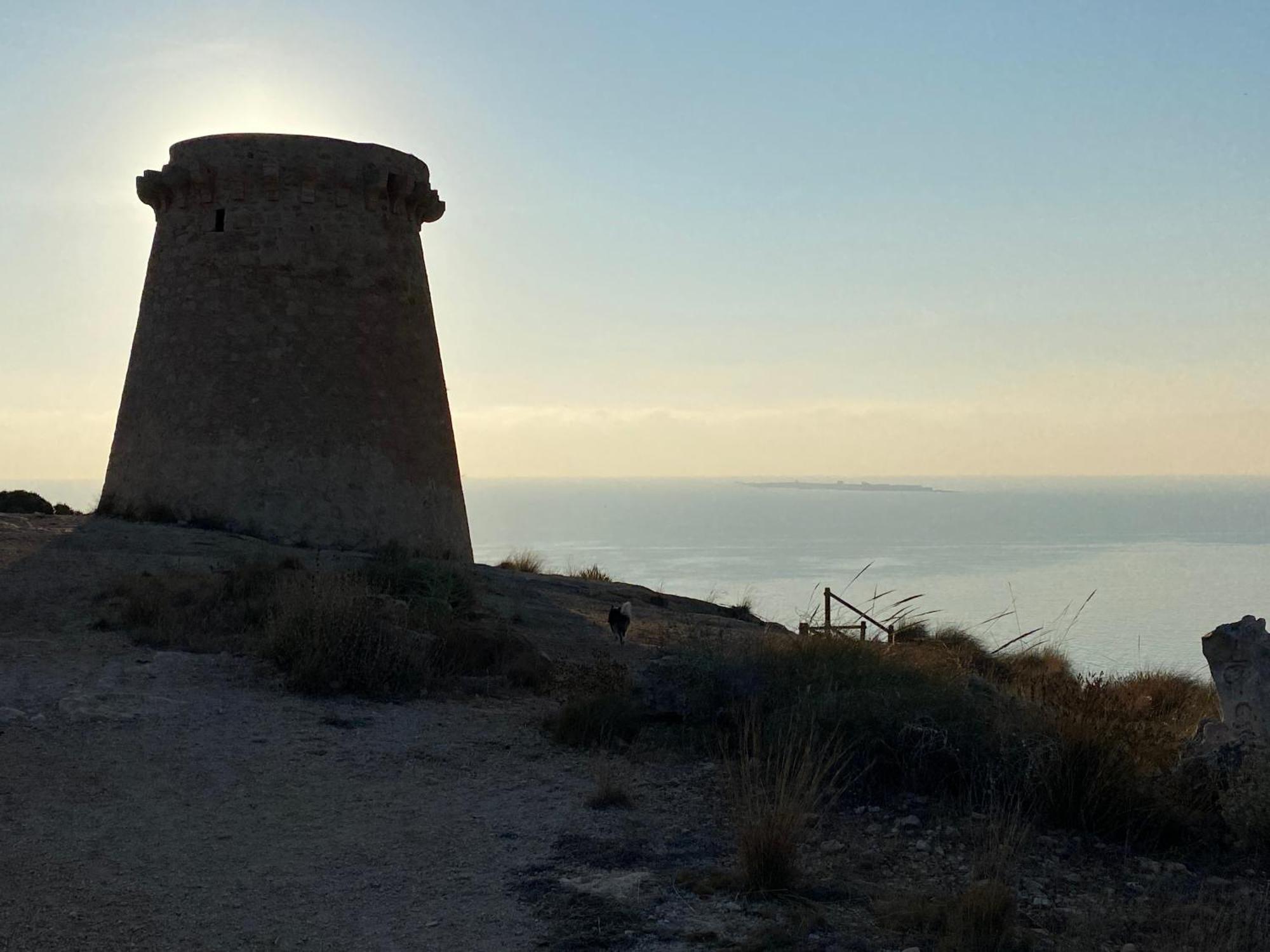 Petirrojo Βίλα Santa Pola Εξωτερικό φωτογραφία