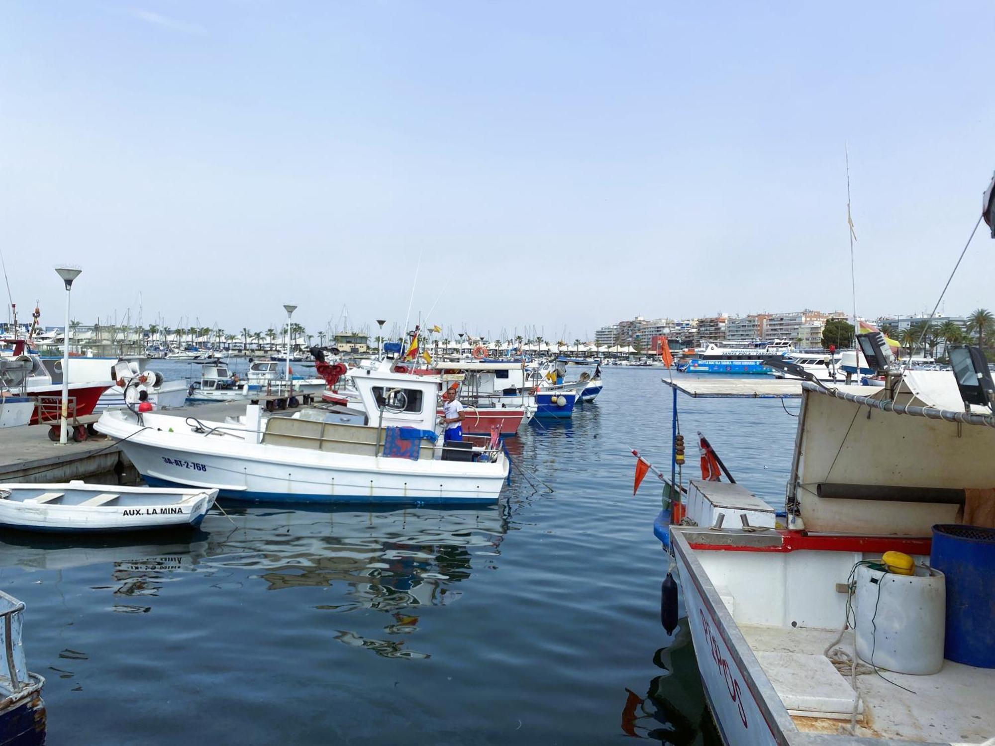 Petirrojo Βίλα Santa Pola Εξωτερικό φωτογραφία
