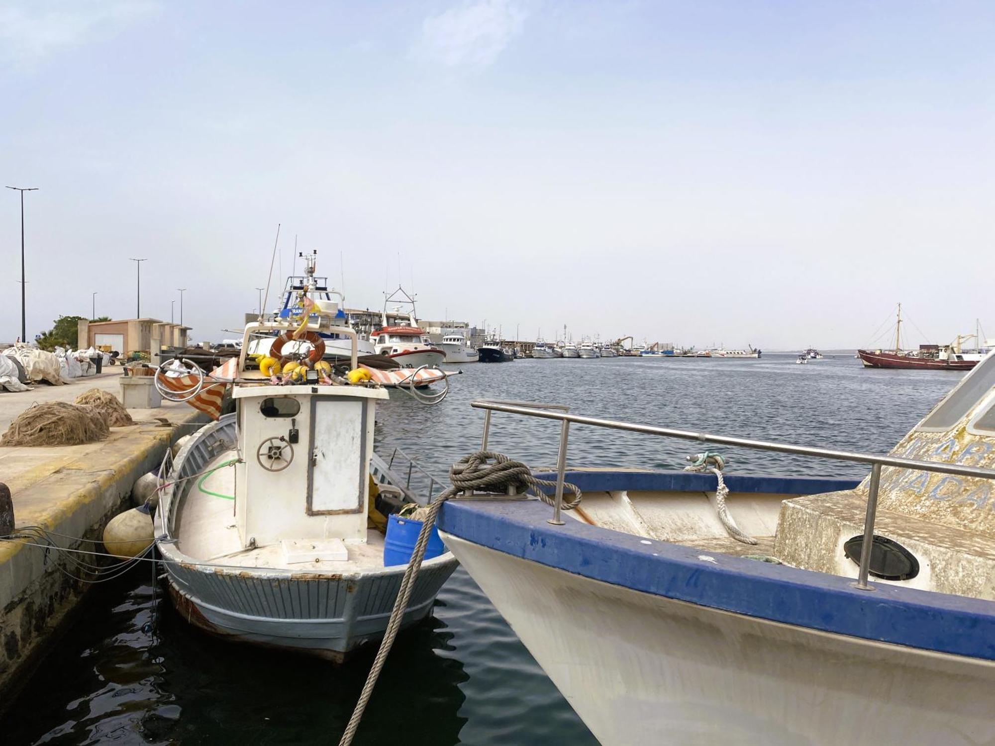 Petirrojo Βίλα Santa Pola Εξωτερικό φωτογραφία