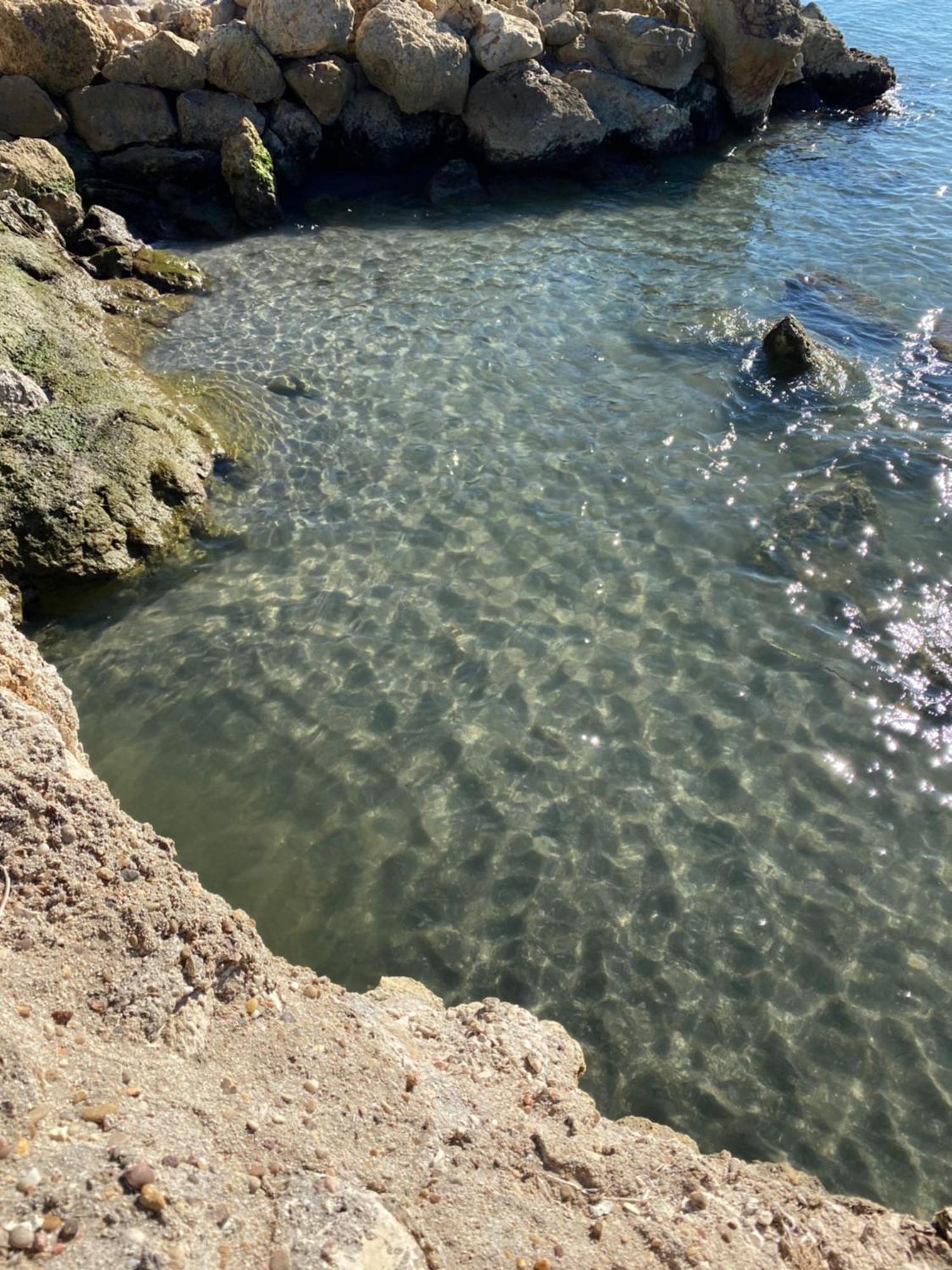 Petirrojo Βίλα Santa Pola Εξωτερικό φωτογραφία