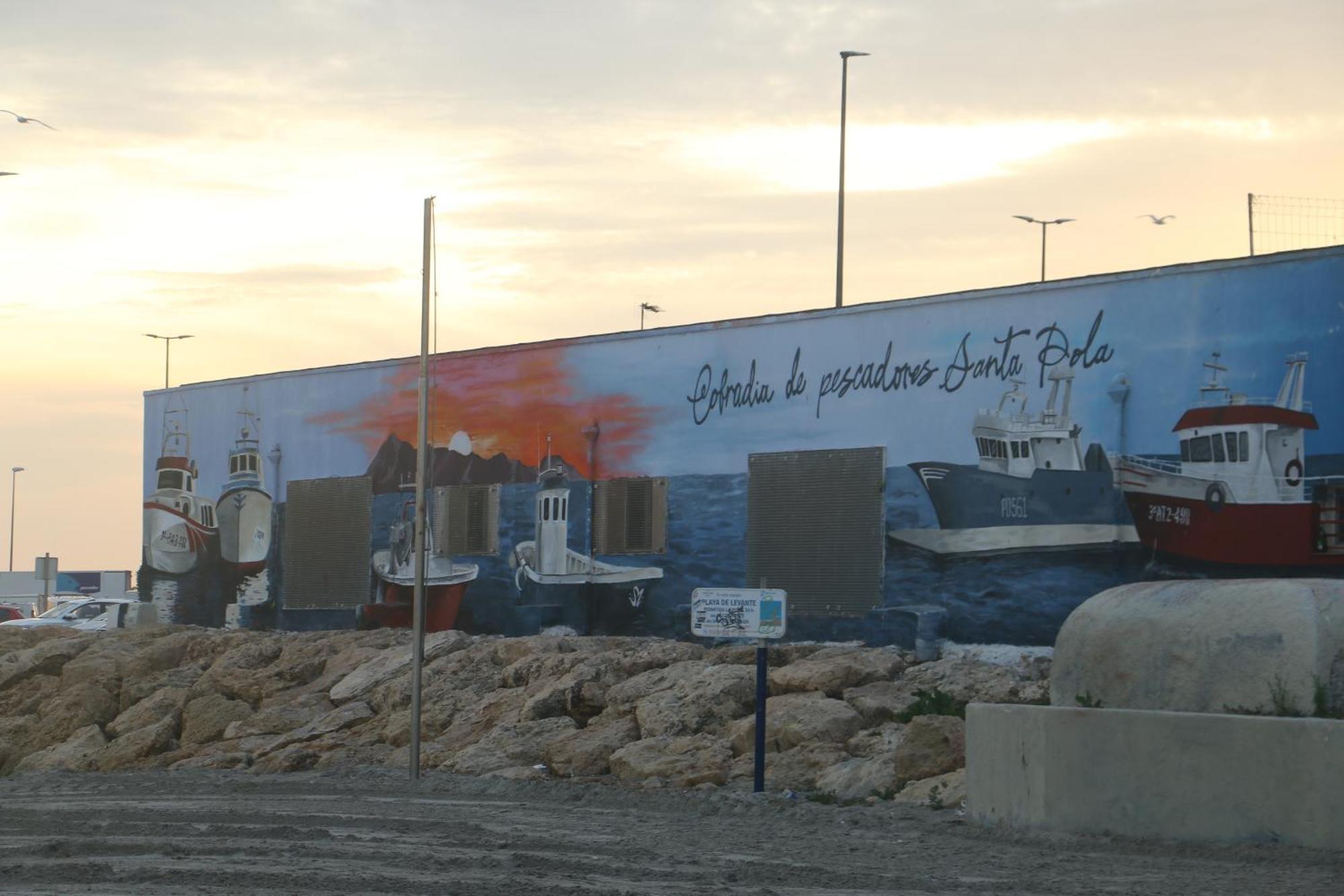 Petirrojo Βίλα Santa Pola Εξωτερικό φωτογραφία